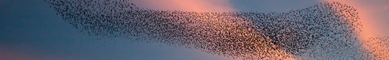 Kracht van Verbinding