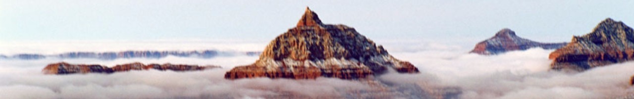 Intuïtief Ondernemen