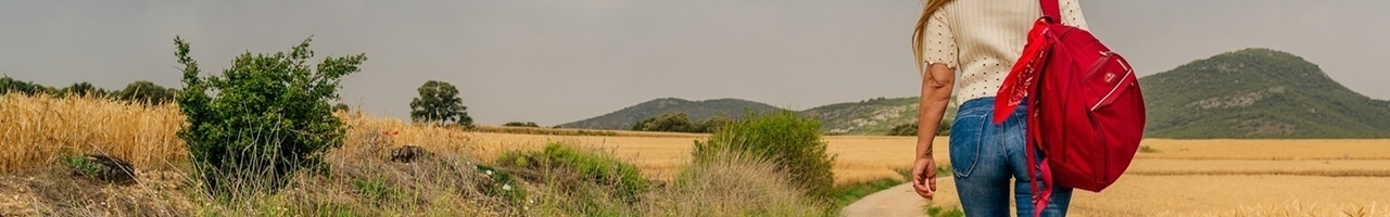 Rootonde