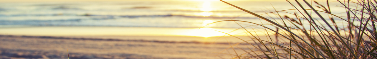 Bewustleven.eu | Consciousliving.eu