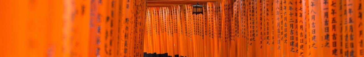 Spark your Potential