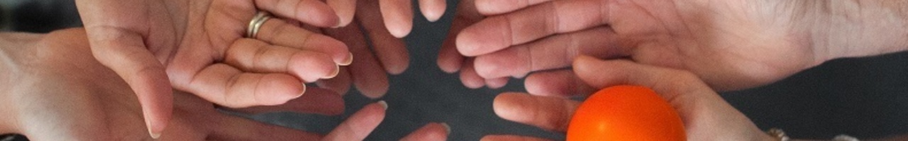 Feedback Training en Consulting België