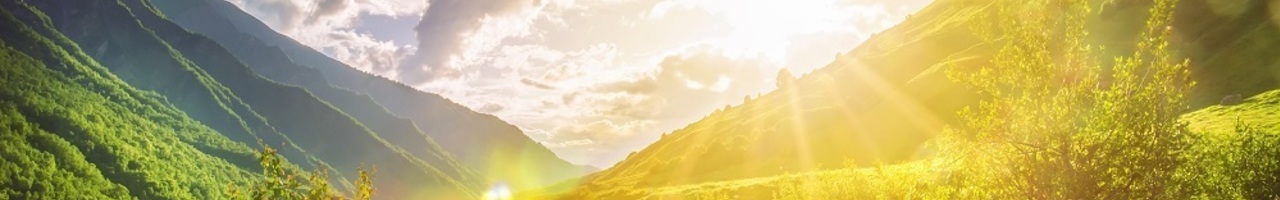 Prestatiemeesters (Prestatie Meesters)