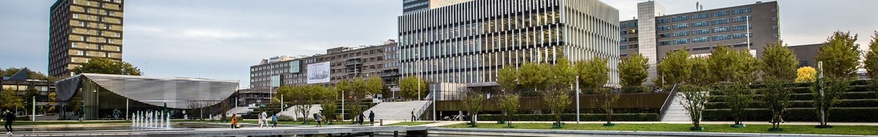 Erasmus University Marketing Institute