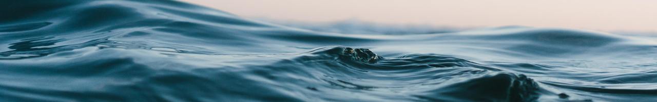 Bewusstseinswandel GmbH