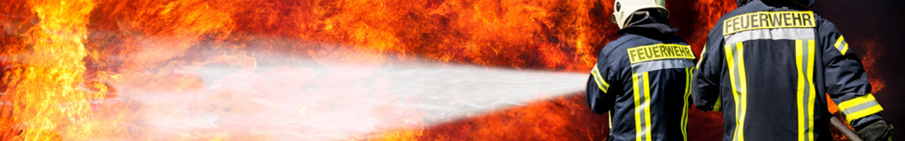 BSS Arbeitssicherheit