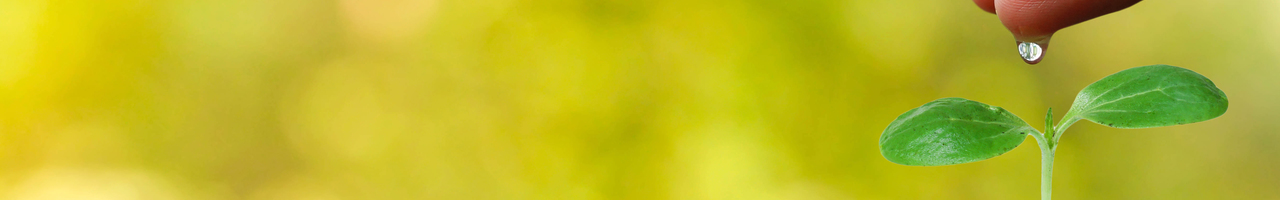 Positivity, coaching & training