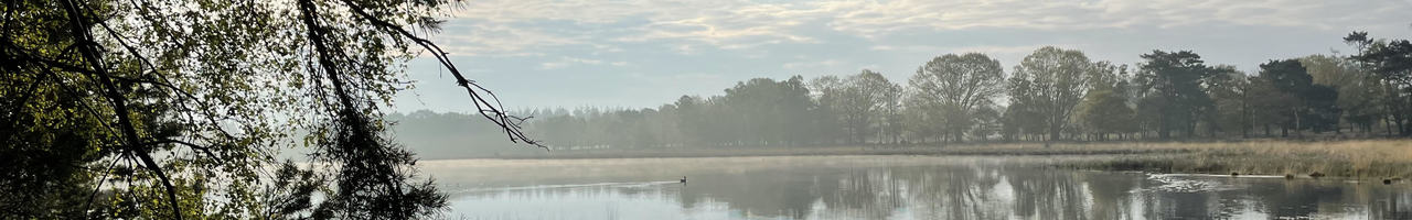 Out of Office Development