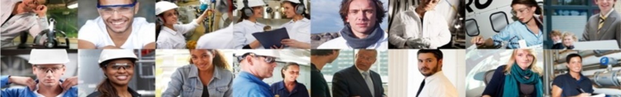 IPV Training & Advies