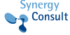Logo von Synergy Consult
