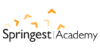 Logo Springest Intra-entreprise Logo Springest Intra-entreprise