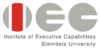 Logo von Institute of Executive Capabilities, Steinbeis-Hochschule