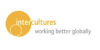 Logo von intercultures Stefan Meister