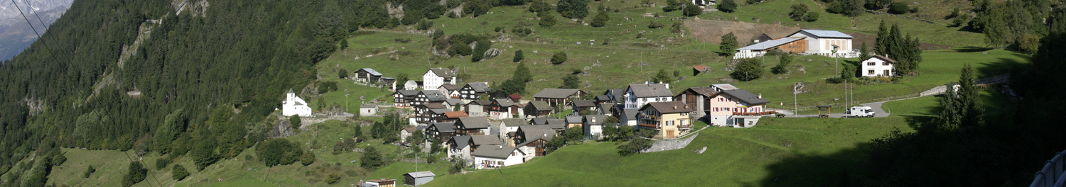 Michel van der Meulen